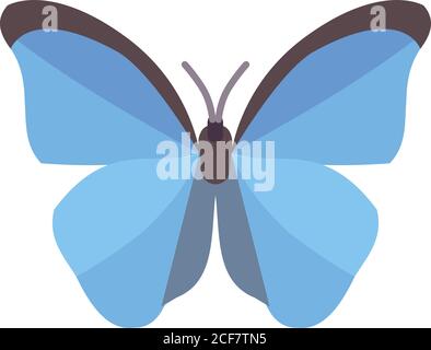 Vecteur D'Icône Papillon Illustration de Vecteur