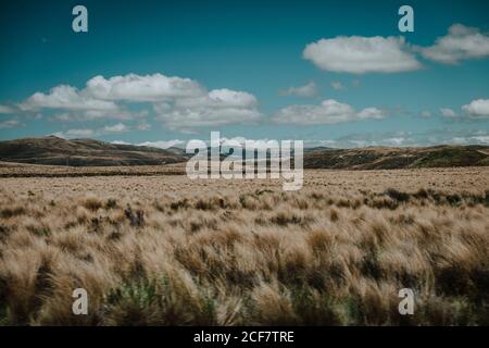 paysage de grand champ éloigné sur fond de collines sous Ciel bleu avec nuages cumulus en Nouvelle-Zélande Banque D'Images
