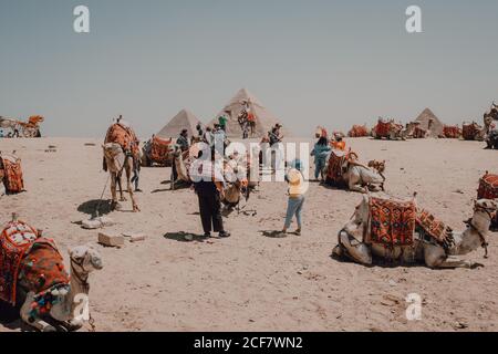 Le Caire, Égypte - avril 12 2019 : groupe de voyageurs et de caravanes campent sur le sable sec du désert près des célèbres grandes pyramides Banque D'Images