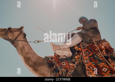 Le Caire, Égypte - avril 12 2019 : homme arabe âgé en vêtements traditionnels à dos de chameau contre un ciel sans nuages par beau temps Banque D'Images