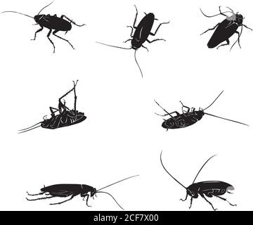 dessin d'un cafard noir, silhouettes isolées, cafard, arthropode, insecte, isolé, silhouette, noir, blanc, vecteur, dessin, dessin, dessin, dessin Illustration de Vecteur