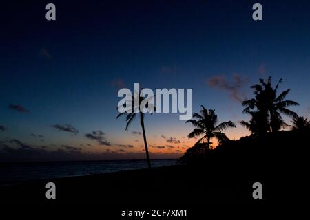 Silhouettes de palmiers tropicaux sur une plage sombre près d'une mer incroyable contre un magnifique ciel ensoleillé Banque D'Images