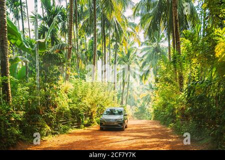 Goa, Inde. Voiture se déplaçant sur la route entourée de palmiers à Sunny Day Banque D'Images