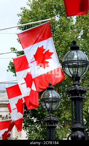 Londres, Angleterre, Royaume-Uni. Drapeaux canadiens à l'extérieur de Canada House, Trafalgar Square. Siège du Haut-commissariat du Canada au Royaume-Uni depuis 1925. Banque D'Images