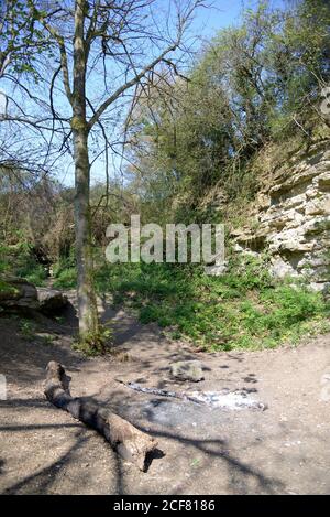 Promenade dans les bois à travers une longue carrière désutilisée. Village de Boughton Monchelsea, Kent, Royaume-Uni. Banque D'Images