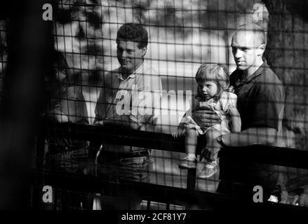 Le zoo de Londres et la Zoological Society of London sont un mélange complexe d'éducation, de recherche scientifique, de conservation et d'attraction touristique. 16 septembre 1992. Photo: Neil Turner Banque D'Images