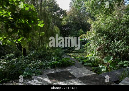 Végétation luxuriante autour d'un étang, et une partie de la pavage en ardoise du Chelsea Garden, conçu par Darren Hawkes, Tremenheere Sculpture Gardens, Cornwall Banque D'Images