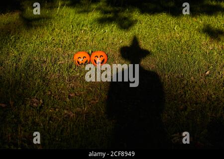 Image de l'ombre noire dans le chapeau sur l'herbe verte Avec des citrouilles en peluche lors de la fête d'Halloween Banque D'Images