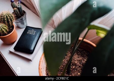 D'en haut, des fleurs en potted épineux et vervigreen en composition avec le livre de la sainte bible sur table blanche près de la fenêtre dans la lumière appartement moderne Banque D'Images