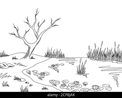 Bog Swamp graphique noir blanc paysage dessin vecteur d'illustration Illustration de Vecteur