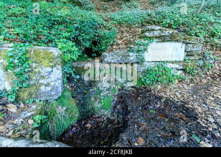 France, Côte d’Or, Réserve naturelle régionale du Val Suzon, Etaules, Foret Domaniale de Val Suzon, Parc Jouvence, Baise ma Mie Spring // France, Côte d’Or Banque D'Images