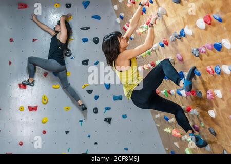 Vue latérale des grimpeurs femelles en formation sur le mur dans la salle de sport moderne Banque D'Images