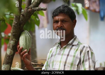 TRIBU PANIYAN, Man Holding Cocoa fruit, village de Chulliyod, colonie de Vannathara, Kerala, Inde. Ce fruit tropical est toujours la source de tout chocolat Banque D'Images