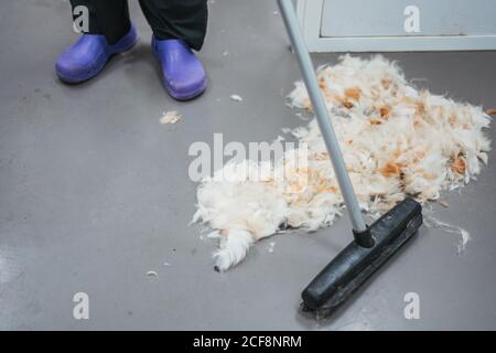 De l'employé anonyme ci-dessus utilisant le balai à la fourrure douce d'animal de compagnie sur le sol dans le salon de coiffure Banque D'Images