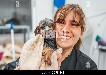 Bonne jeune femme souriant et regardant l'appareil photo tout en tenant Humidifiez le Yorkshire Terrier après le lavage dans un salon de coiffure Banque D'Images