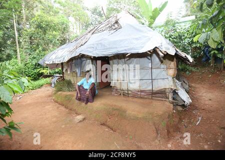 Tribu PANIYAN, homme assis à l'extérieur de la maison à Chulliyod Village, Ambalakunnu, Kerala, Inde Banque D'Images