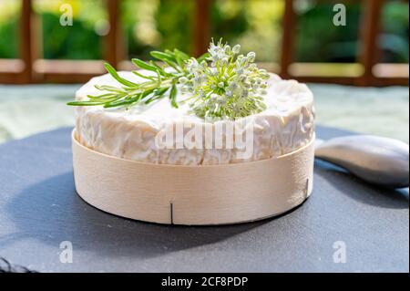 Collection de fromages français, morceau de fromage camembert au lait de vache mûr avec moule blanc de Normandie Banque D'Images