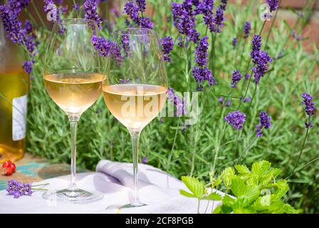 Amour Provence, pique-nique romantique avec deux verres de vin rose français froid et fleurs de lavande pourpres dans le jardin d'été ensoleillé Banque D'Images