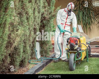 Homme habile en uniforme pour la fumigation et la prise de masque respiratoire tuyau vert du réservoir jaune sur la roue pour le processus de désinfection Banque D'Images