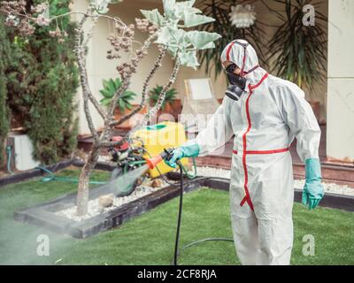 Fumeligator en substance blanche uniforme de pulvérisation sur le jardin Banque D'Images