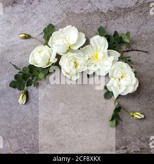 Composition de fleurs faite de fleurs de rose et de branches d'eucalyptus. Maquette avec fleurs. Flat lay, vue de dessus Banque D'Images