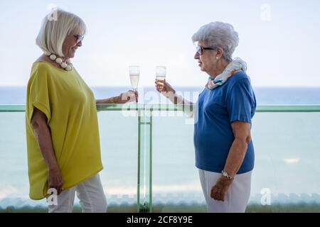 Des femmes mûres et élégantes qui se tarissent de toasts et de plaisir vin sur le balcon de l'hôtel, près de la mer, sur la station Banque D'Images