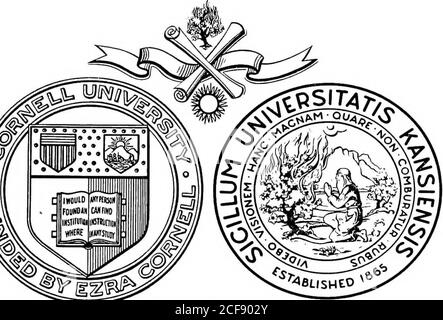 . Errance parmi les sauvages de la mer du Sud et à Bornéo et aux Philippines. -i;* i% ll|& v A » ??.?J fef ^ u 1 ?&gt; ^^ *4 5- 4 rUvr J & lt;h ..*^, ». CX jQbris Deane Waldo Malottcu31924062589357 Banque D'Images