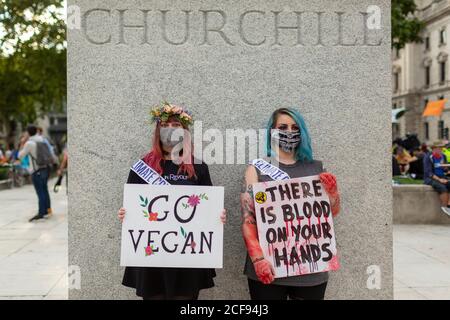 Les manifestants tiennent des panneaux devant la statue de Winston Churchill lors de la manifestation de la rébellion d'extinction, Parliament Square, Londres, 1er septembre 2020 Banque D'Images