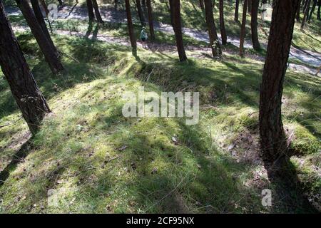 Ancienne position défensive allemande nazie construite en 1945 à Przebrno sur Vistule Spit, Pologne. 19 juillet 2020 © Wojciech Strozyk / Alamy stock Phot Banque D'Images