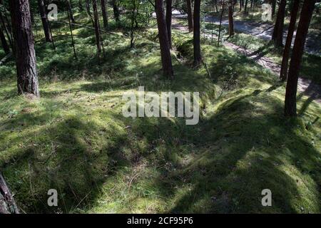 Ancienne position défensive allemande nazie construite en 1945 à Przebrno sur Vistule Spit, Pologne. 19 juillet 2020 © Wojciech Strozyk / Alamy stock Phot Banque D'Images