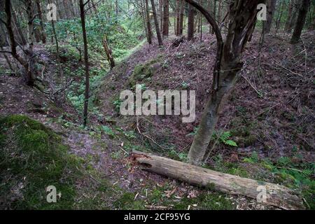 Ancienne position défensive allemande nazie construite en 1945 à Katy Rybackie sur Vistule Spit, Pologne. 19 juillet 2020 © Wojciech Strozyk / Alamy stock Banque D'Images