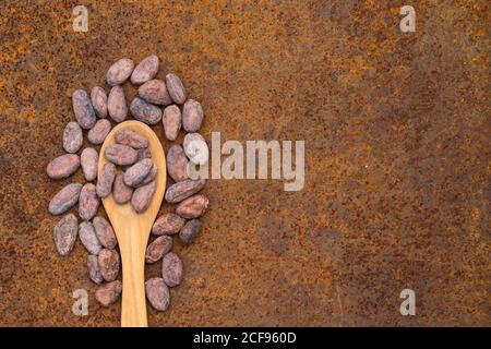 Concept de couche plate de cacao avec fèves de cacao crues dans une cuillère en bois sur fond de fer, vue du dessus Banque D'Images