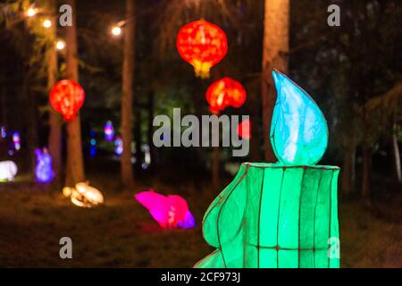 Les illuminations des bois chez nous ne sont pas un festival socialement distancé Événement à Pippingford Park - camping avec une ambiance de festival Banque D'Images