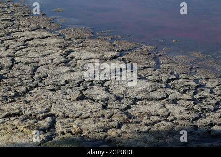 Un lac salé avec une côte de boue fissurée Banque D'Images