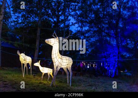 Les illuminations des bois chez nous ne sont pas un festival socialement distancé Événement à Pippingford Park - camping avec une ambiance de festival Banque D'Images