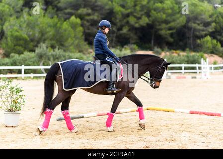 Ado fille jockey dans casque cheval brun sous l'arbre branches sur le stade de dressage pendant l'entraînement dans l'école équestre Banque D'Images