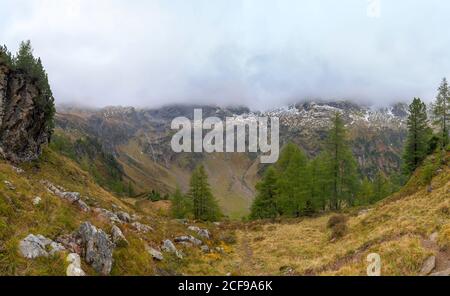 Vue dans une vallée avec des arbres de Larch (Larix decidua) près du lac Gralati dans les Alpes de Stubai. Ambiance d'automne avec brouillard en arrière-plan. Banque D'Images