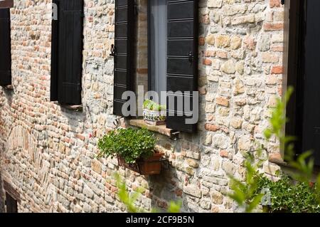 Fenêtres noires avec une petite plante décorative sur le mur de briques (Pesaro, Italie, Europe) Banque D'Images