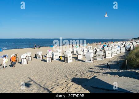 USEDOM, ALLEMAGNE - 05 août 2020 : AHLBECK, USEDOM, ALLEMAGNE 05 août 2020. De belles chaises de plage à capuchon par une journée ensoleillée près de la plage à Usedom. Banque D'Images