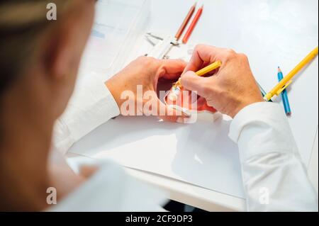 De dessus de la récolte orthodontiste avec un crayon dans la main de travail avec moule dentaire blanc à la table avec équipement professionnel Banque D'Images