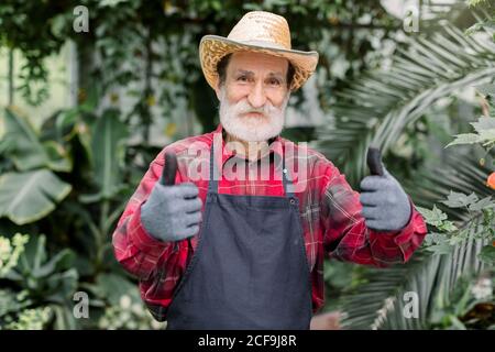 Gros plan portrait d'un jardinier homme âgé positif et gai en chapeau de paille et vêtements de travail avec tablier, debout dans la maison chaude avec des plantes exotiques et Banque D'Images