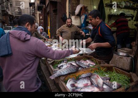 Le Caire, Egypte - 14 décembre 2019: Vendeur mâle local avec billet de banque à la main vendant du poisson au client sur le marché de rue Banque D'Images