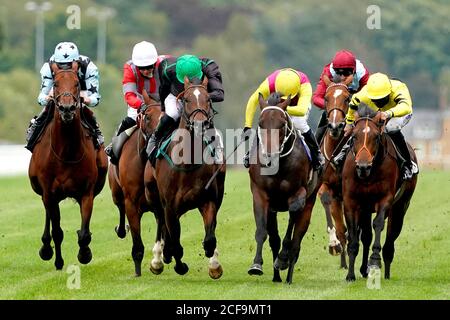 Prince of Abington monté par le jockey Jim Crowley (troisième à droite) sur leur chemin pour gagner les volontaires d'Ambulance St John (Berkshire) British EBF Novice Auction Stakes (plus 10) (Div 2) à l'hippodrome d'Ascot. Banque D'Images