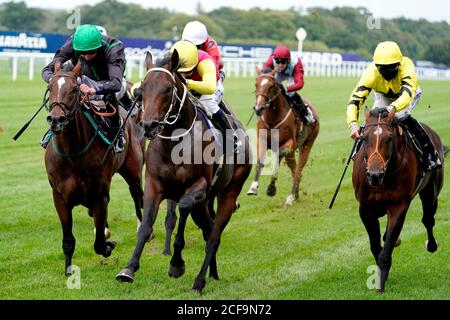 Prince of Abington monté par le jockey Jim Crowley (au centre) sur leur chemin pour gagner les volontaires d'Ambulance St John (Berkshire) British EBF Novice Auction Stakes (plus 10) (Div 2) à l'hippodrome d'Ascot. Banque D'Images