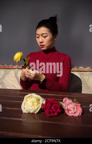 Jeune femme asiatique assise dans le magasin et travaillant avec des roses Banque D'Images