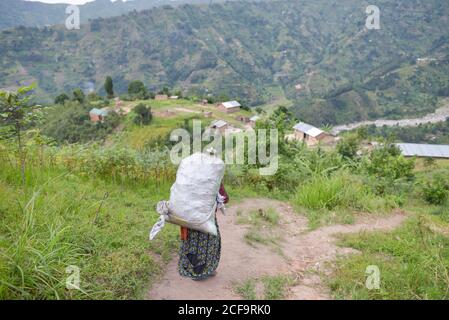 Ouganda - novembre, 26 2016: Femme africaine senior de corps entier regardant loin et portant sac sur le dos tout en marchant sur le chemin dans la forêt Banque D'Images