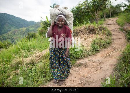 Ouganda - novembre, 26 2016: Femme africaine senior de corps entier regardant la caméra et le sac de transport sur le dos tout en marchant sur le chemin dans la forêt Banque D'Images