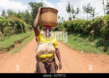 Ouganda - novembre, 26 2016: Femme africaine senior de corps entier regardant l'appareil photo et portant le panier sur la tête tout en marchant sur le chemin de terre Banque D'Images