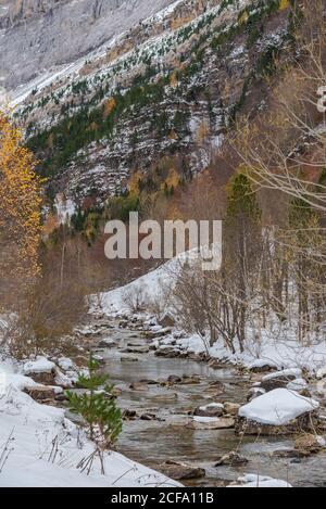 Ruisseau rapide avec eau froide coulant près de la crête de montagne couvrant avec de la neige le jour d'automne dans la nature Banque D'Images