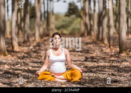 Barefooted serein adulte expectant mère avec les yeux fermés en blanc chemise et pantalon jaune assis dans la posture et la méditation pamasana tout en pratiquant le yoga sur le sol en glade parmi les arbres dans forêt pendant la journée ensoleillée Banque D'Images